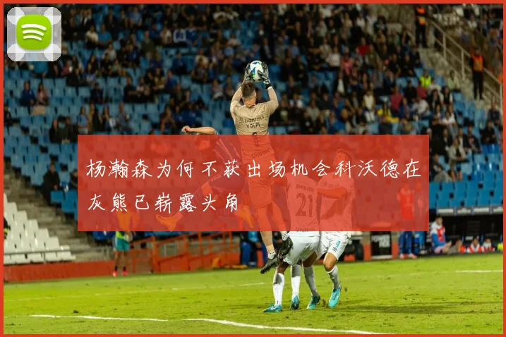 杨瀚森为何不获出场机会科沃德在灰熊已崭露头角